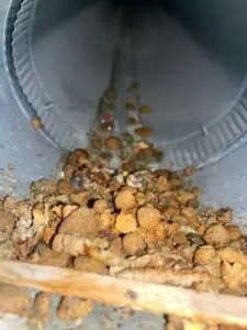 img 20250712 wa0082