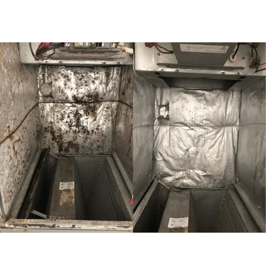AC Coil Cleaning years without cleaning (5)