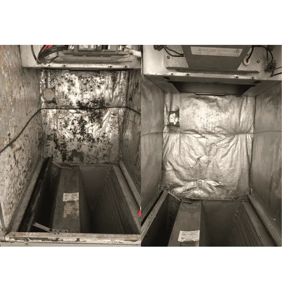 years without cleaning (5)